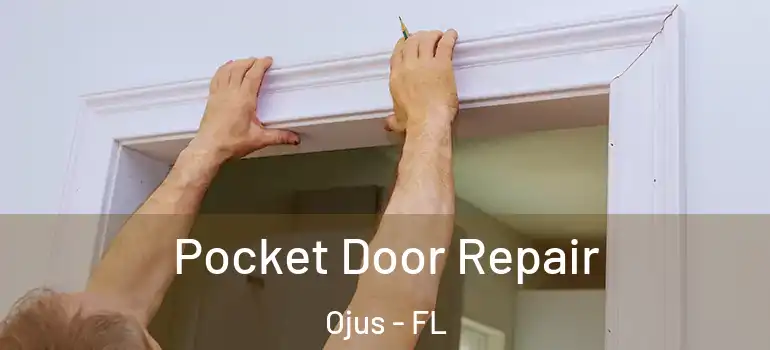  Pocket Door Repair Ojus - FL