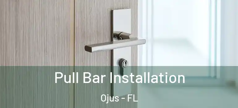  Pull Bar Installation Ojus - FL