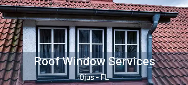  Roof Window Services Ojus - FL