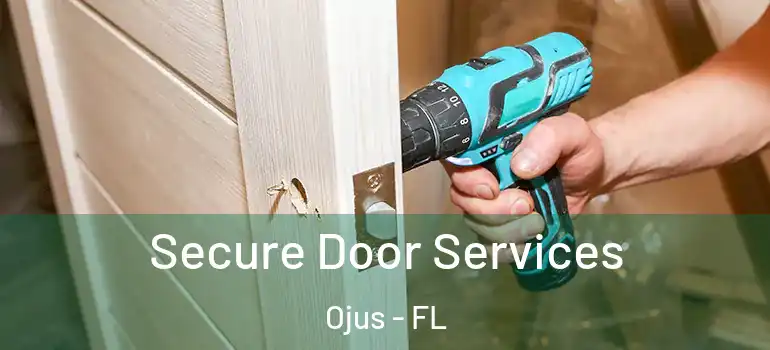  Secure Door Services Ojus - FL