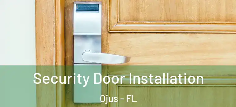  Security Door Installation Ojus - FL