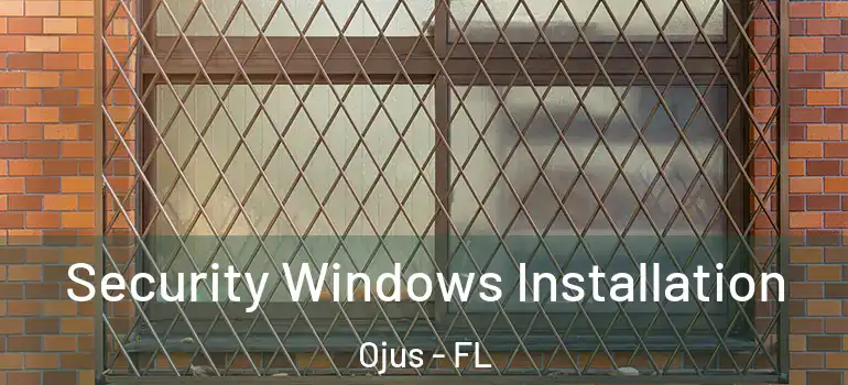  Security Windows Installation Ojus - FL