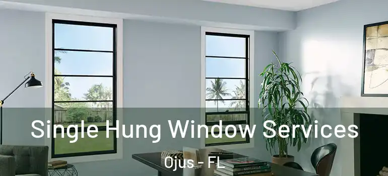  Single Hung Window Services Ojus - FL