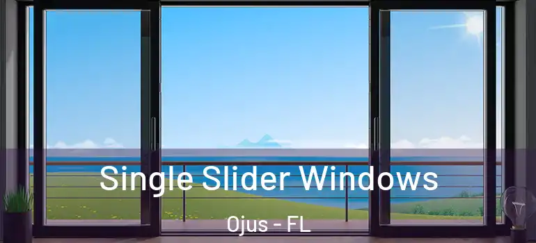  Single Slider Windows Ojus - FL