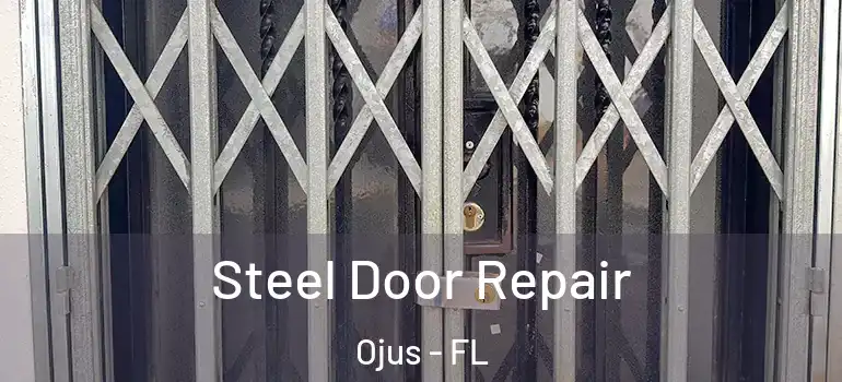  Steel Door Repair Ojus - FL