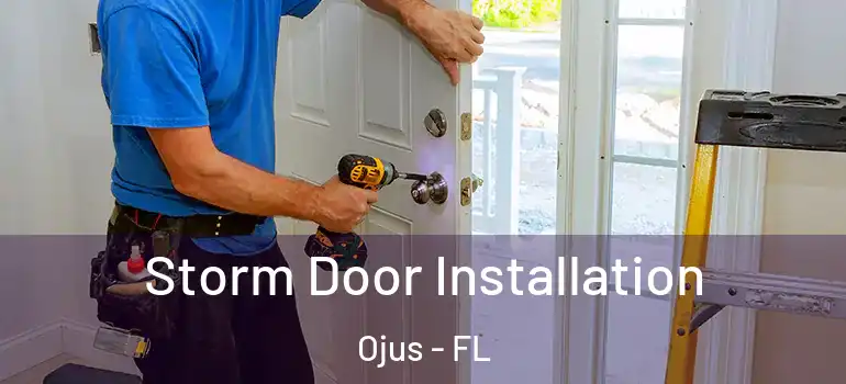  Storm Door Installation Ojus - FL