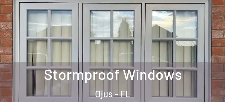  Stormproof Windows Ojus - FL