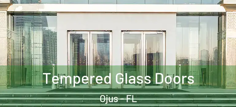  Tempered Glass Doors Ojus - FL