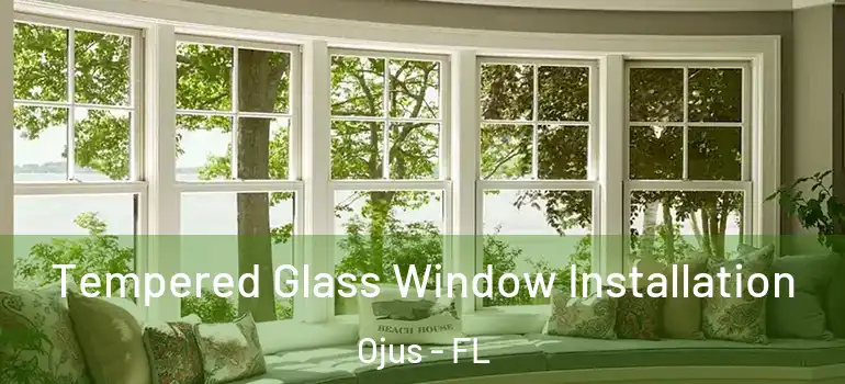  Tempered Glass Window Installation Ojus - FL
