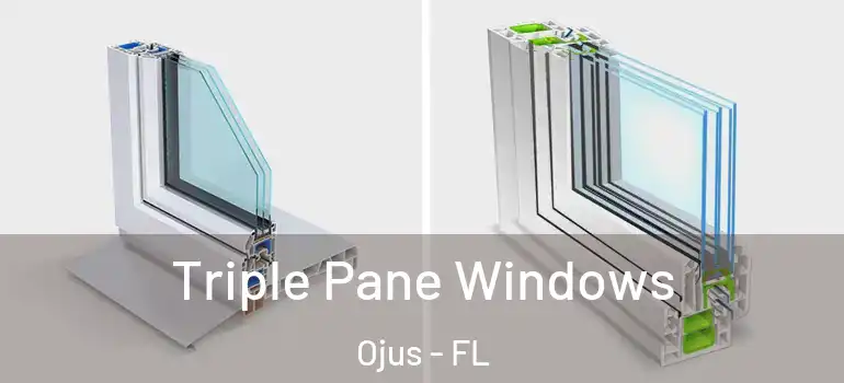  Triple Pane Windows Ojus - FL