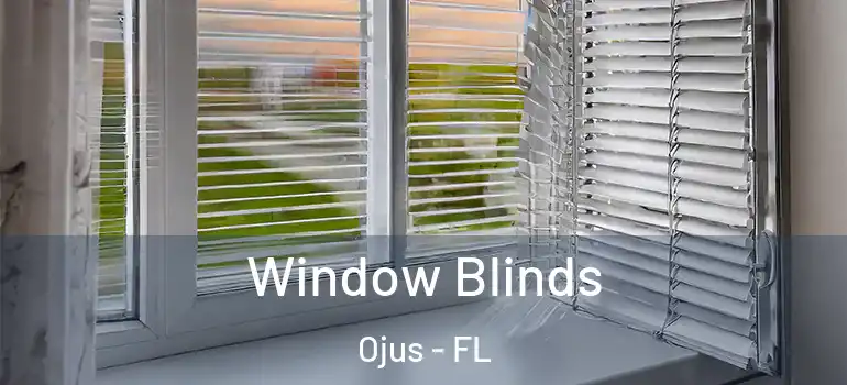  Window Blinds Ojus - FL