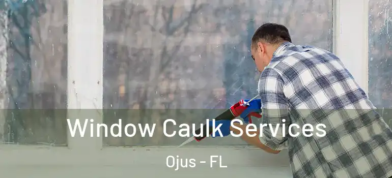  Window Caulk Services Ojus - FL