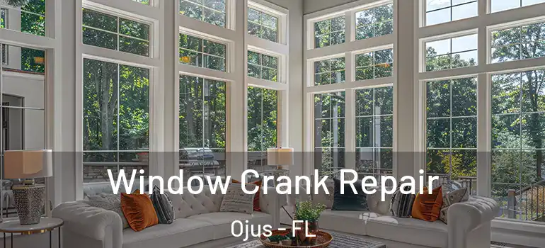  Window Crank Repair Ojus - FL