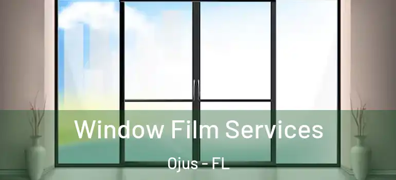  Window Film Services Ojus - FL