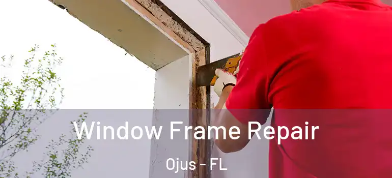  Window Frame Repair Ojus - FL