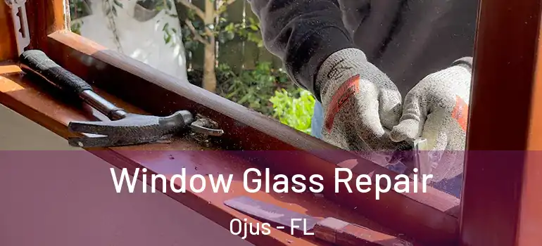  Window Glass Repair Ojus - FL