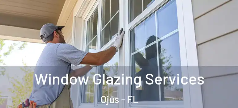  Window Glazing Services Ojus - FL