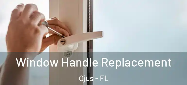  Window Handle Replacement Ojus - FL