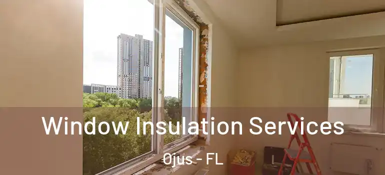  Window Insulation Services Ojus - FL