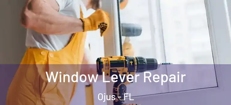  Window Lever Repair Ojus - FL