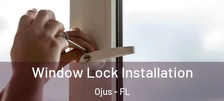  Window Lock Installation Ojus - FL