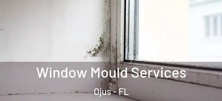  Window Mould Services Ojus - FL