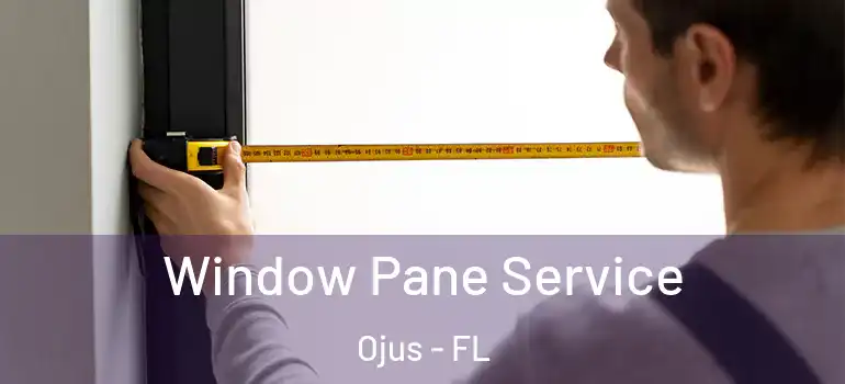  Window Pane Service Ojus - FL