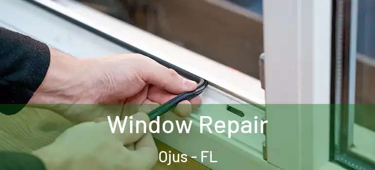  Window Repair Ojus - FL