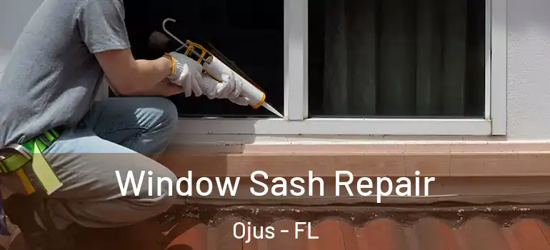  Window Sash Repair Ojus - FL