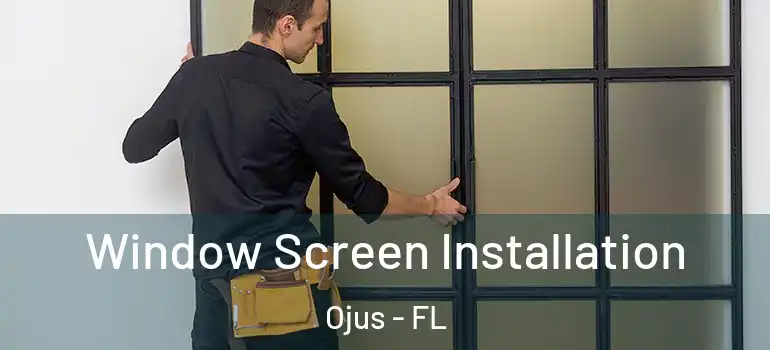  Window Screen Installation Ojus - FL