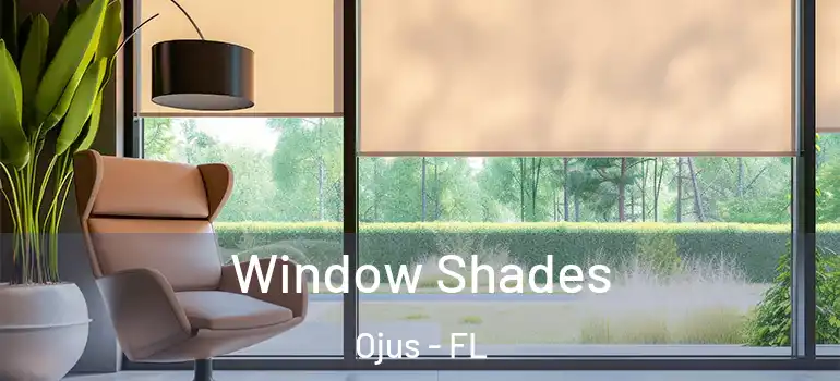  Window Shades Ojus - FL