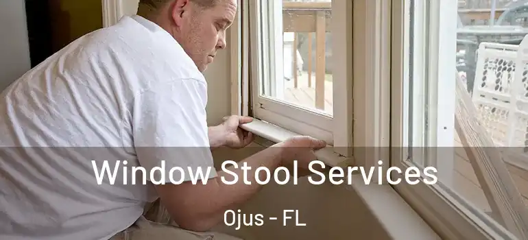  Window Stool Services Ojus - FL