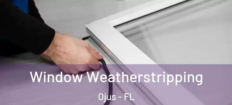  Window Weatherstripping Ojus - FL