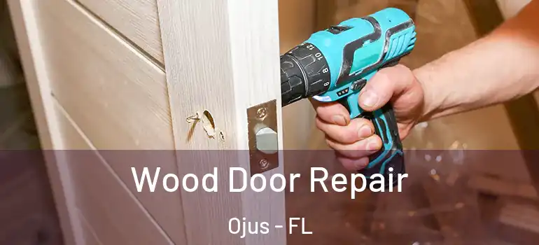  Wood Door Repair Ojus - FL